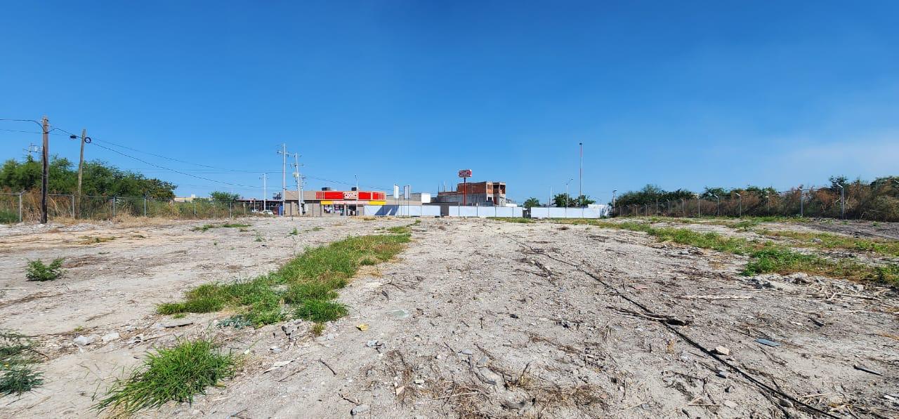 WhatsApp Image 2025-05-12 at 09.26.16 (2)