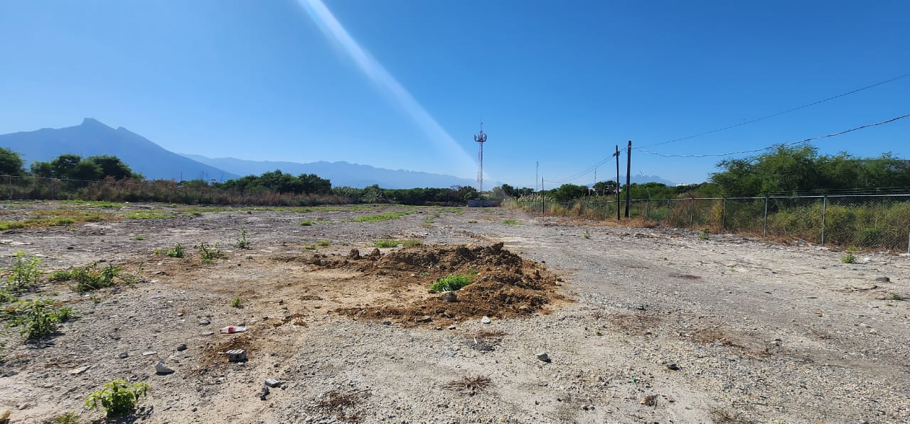 WhatsApp Image 2025-05-12 at 09.26.17 (3)